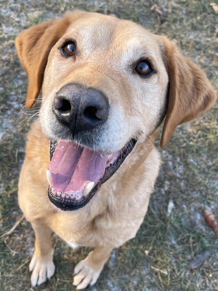 Wer schenkt Max wieder Hoffnung?