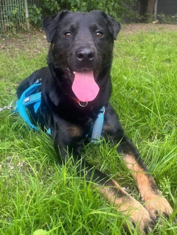 Warum nur meldet sich niemand für mich?