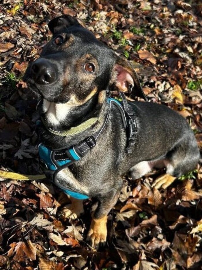 Ich bin mit erst zwölf Monaten heimatlos.