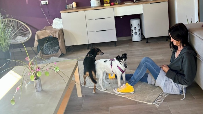 Für „Stella“ und „Shiva“ wurde ein Wohnzimmer eingerichtet.