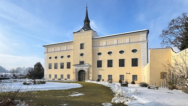 Die Gomde-Stiftung will im Schloss Kremsegg eine private Hochschule errichten.