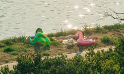 Die Donauinsel entwickelte sich vom Hochwasser-Projekt zum Wiener Freizeitparadies.