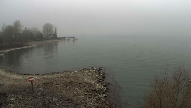 Statt auf anfliegende Flugzeuge blickt man am Flughafen Altenrhein derzeit nur auf eine ...