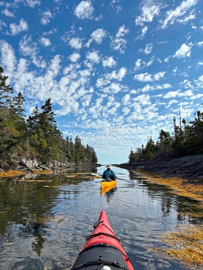 Eine Kajaktour auf dem spiegelglatten Wasser in Blue Rocks.