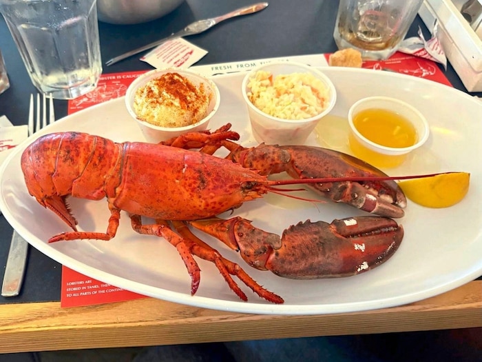 Fangfrischer Hummer: riesige Scheren, strahlend rosa Bauch.
