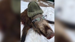 Der Grund für reichlich Kritik auf Facebook: das tote Wildschwein als „Werbe-Model“