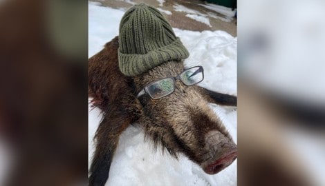 Der Grund für reichlich Kritik auf Facebook: das tote Wildschwein als „Werbe-Model“