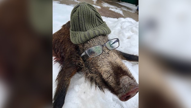 The reason for the widespread criticism on Facebook: the dead wild boar as an "advertising ...