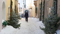 Nicht nur die Waldaufstraße wurde in einen Schneelaufsteg verwandelt. 