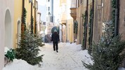 Nicht nur die Waldaufstraße wurde in einen Schneelaufsteg verwandelt. 