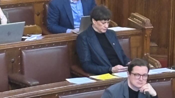 Hauptberufliche Handyspielerei