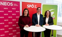 Claudia Gamon, Reinhold Einwallner und Eva Hammerer (v.l.) nach der Sitzung des ...
