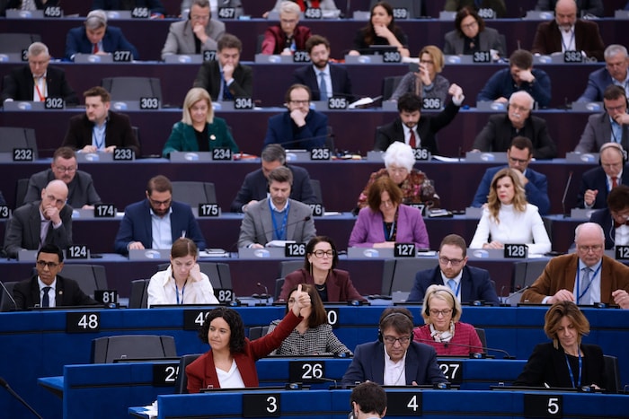 Sie verlangen eine Begutachtung des Mercosur-Abkommens durch den Europäischen Gerichtshof: ...