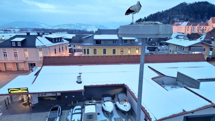 Rudi lebt aktuell auf einem Fluter auf dem Parkplatz der Firma „ZBoats“.