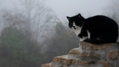 Zäher Hochnebel, eisige Nächte: Osten bibbert in den kommenden Tagen (Symbolbild).