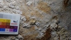 Der Fund hat nach Einschätzung des Forscherteams weitreichende Bedeutung für das Verständnis der ...