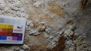 Der Fund hat nach Einschätzung des Forscherteams weitreichende Bedeutung für das Verständnis der ...