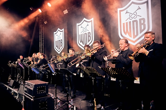 Vollste Unterstützung der Woodstock Allstar Band.