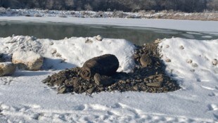 Diese Fliegerbombe wurde in Langenwang freigelegt.
