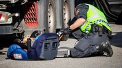 Durch eine Polizeikontrolle bei der Schmuggelfahrt kamen die Ermittlungen ins Rollen. ...