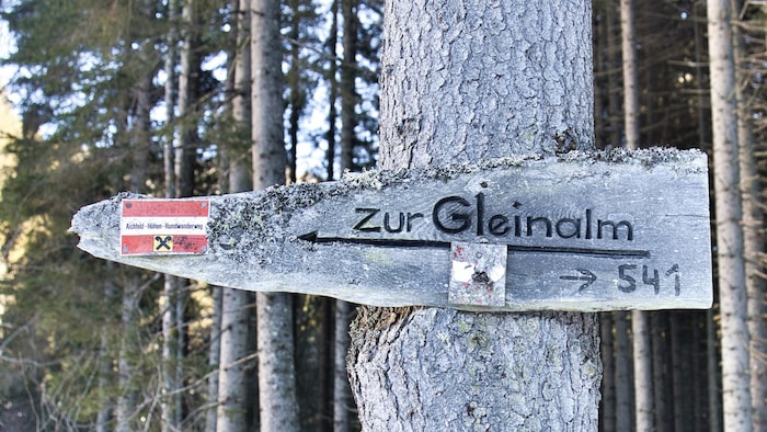 Hier geht es zur Gleinalm.