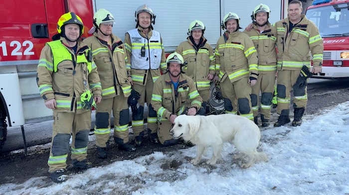 Urlauberhund „Paul“ mit seinen Rettern der Feuerwehr Schlitters