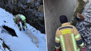 Im Dezember saß die Mieze eines Anrainers im eiskalten Nass des Bachbetts fest (rechts), am ...
