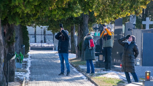 Täglich sind etliche Fotografen am Apetloner Friedhof.