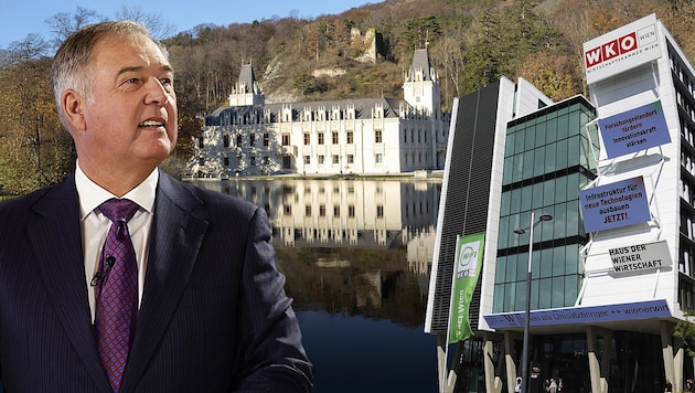 Controversial chamber boss: Walter Ruck moved into the House of Vienna Business (right) in 2019.