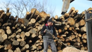 Die Steiermark ist weltweit Leitregion für Biomasse.