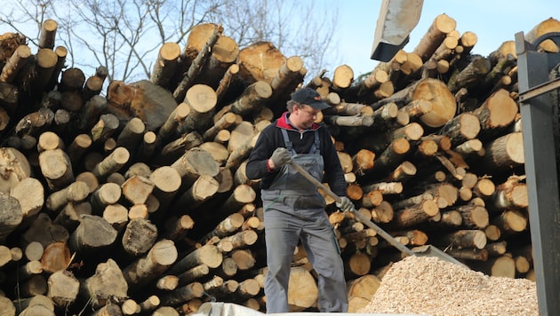 Die Steiermark ist weltweit Leitregion für Biomasse.