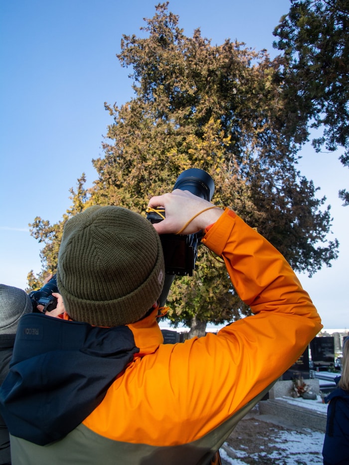 Fotografen kommen aus Nah und Fern, um die Tiere zu finden und abzulichten.