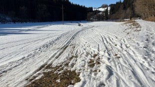 Mancherorts, wie hier in Zwettl an der Rodl, fielen Loipen-Abschnitte teilweise der Sonne zum ...