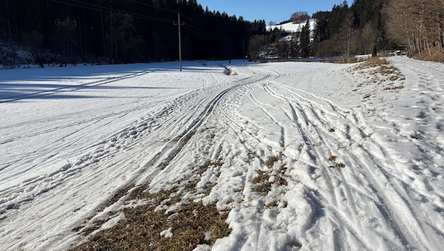 Mancherorts, wie hier in Zwettl an der Rodl, fielen Loipen-Abschnitte teilweise der Sonne zum ...