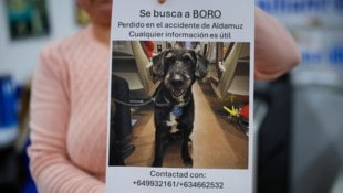 Mit diesem Bild wurde nach dem vermissten Vierbeiner „Boro“ gesucht.