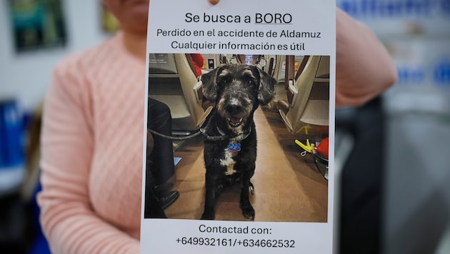 Mit diesem Bild wurde nach dem vermissten Vierbeiner „Boro“ gesucht.