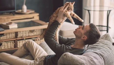 Rund die Hälfte der Singles in Österreich lebt seit mehr als drei Jahren ohne feste Beziehung, ...