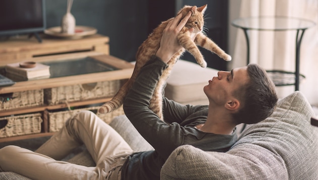 Rund die Hälfte der Singles in Österreich lebt seit mehr als drei Jahren ohne feste Beziehung, ...