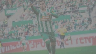 Erleben Sie u.a den SK Rapid live or Ort
