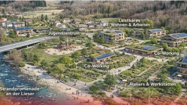 Petschar wollte mit ihrer neuen Wahlbroschüre „zum Diskutieren anregen“. Mit dieser ...