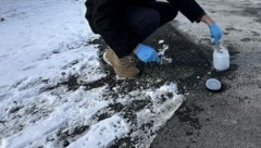 Greenpeace nahm an mehreren Stellen Proben – in allen war Asbest.