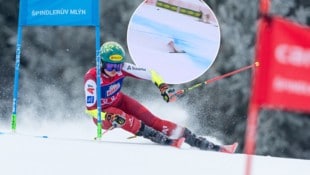 Julia Scheib schied in der Entscheidung aus.