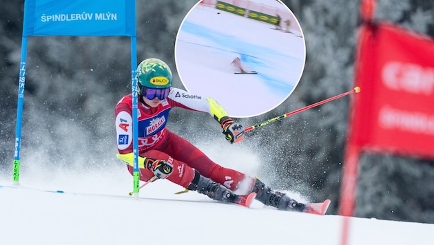 Julia Scheib was eliminated in the final.