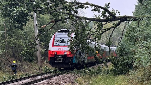 Mulmige Gefühle steigen den Florianis auf, wenn sie zu einem Zugunfall alarmiert werden. Diese ...