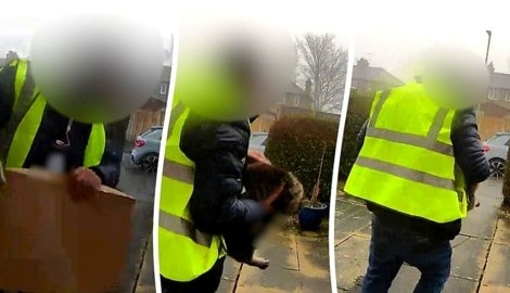Er stellt das Paket ab und greift sich die Katze – nicht ahnend, dass er dabei gefilmt wird.