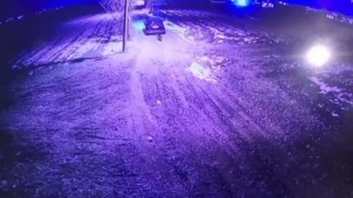 Der Hund sprintet dem Auto nach, doch es bleibt nicht mehr stehen.