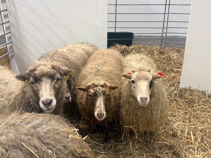 Die europäische Landwirtschaft steht unter Druck.