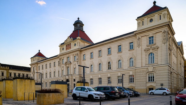 Der Prozess fand am Landesgericht St. Pölten statt.