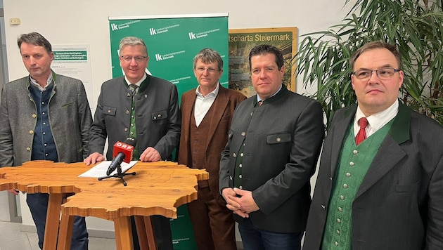 Albert Royer (FPÖ), Andreas Steinegger (Bauernbund), Andreas Lackner (Grüne), Rudi Gutjahr ...