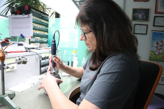 Frau Monika arbeitet seit 36 Jahren in der Münze, sie ist für die Feinbearbeitung der ...